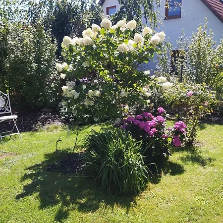 Waldwinkel טרוכטלינגן